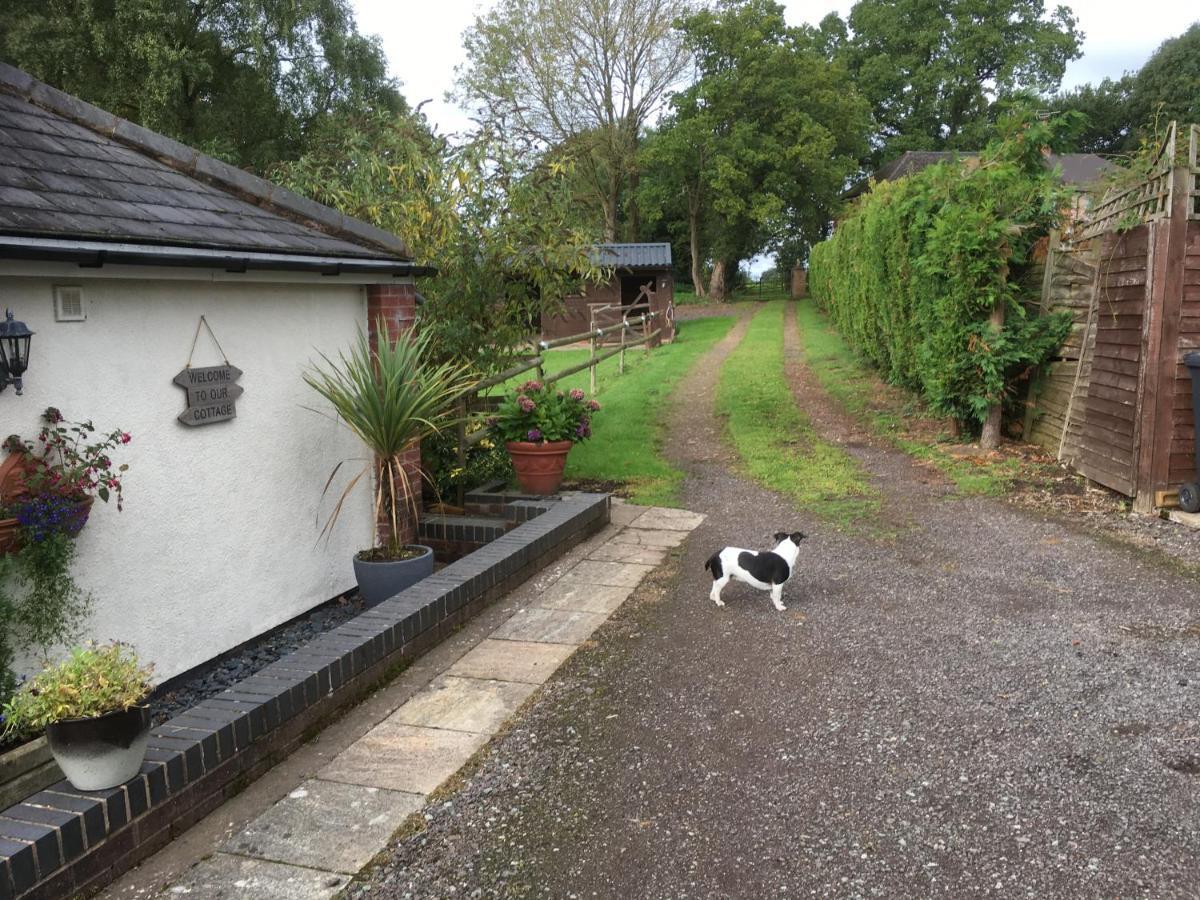 Little Rushbrook Cottages Tanworth Kültér fotó